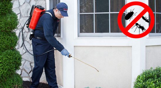 Reyhanlı Kene İlaçlama böcek ilaçlama ve haşere kontrolü — ilaclama-tr.com